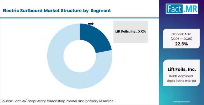 Electric Surfboard Market   Analysis By Company